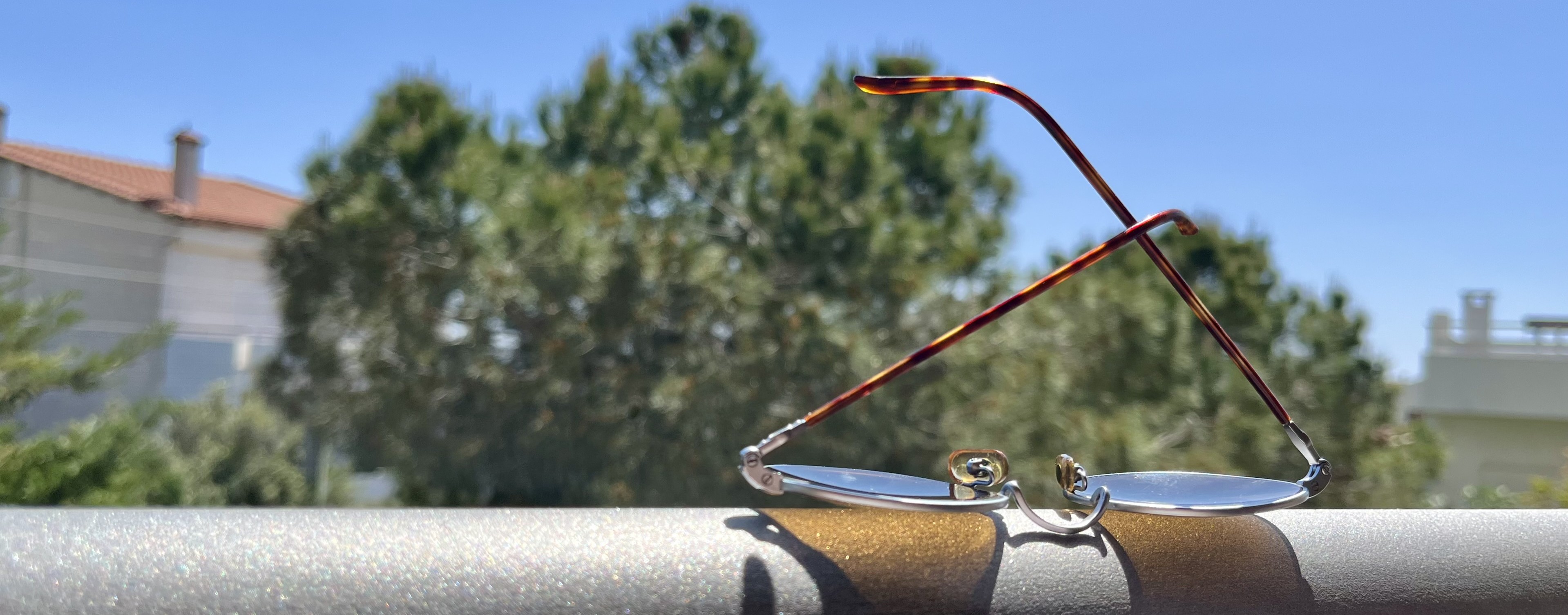 Banner Picture